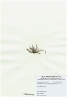 藏品(穗狀魚棲苔)的圖片